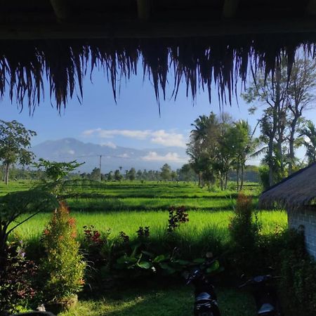 New Rinjani Homestay Tetebatu Luaran gambar