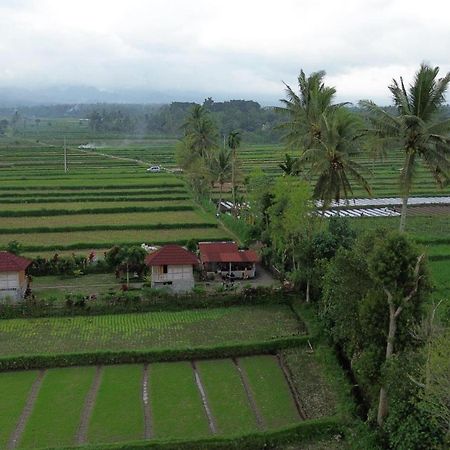 New Rinjani Homestay Tetebatu Luaran gambar