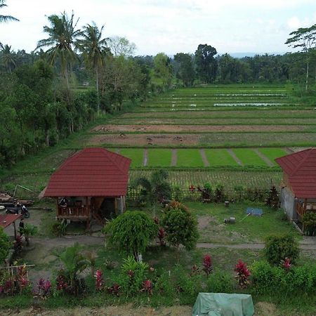 New Rinjani Homestay Tetebatu Luaran gambar