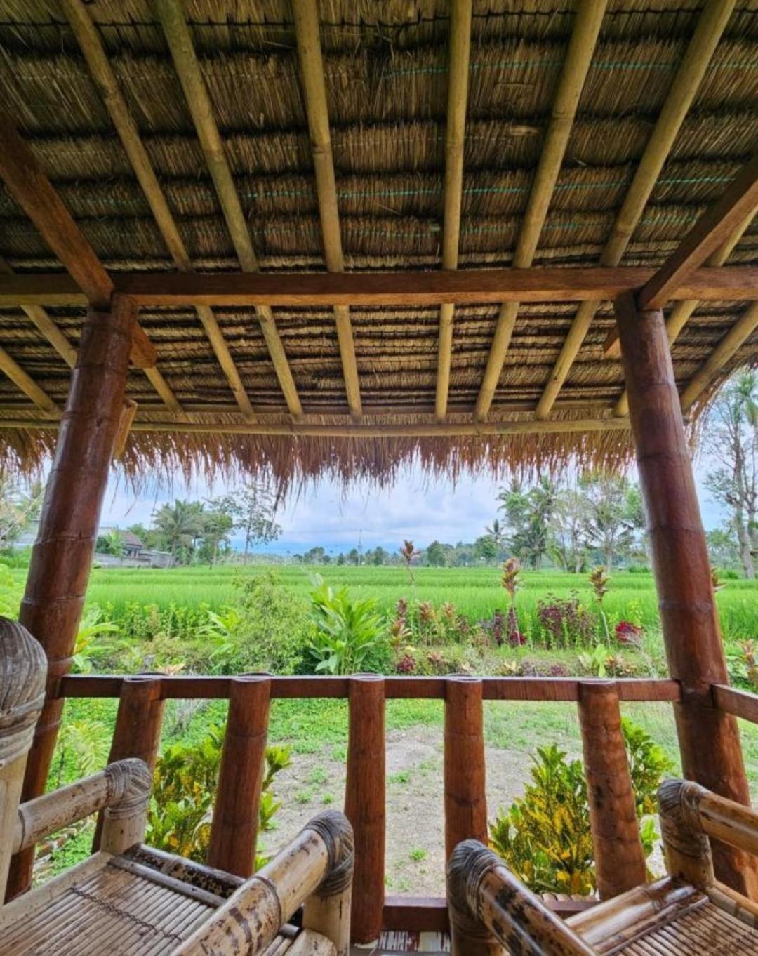 New Rinjani Homestay Tetebatu Luaran gambar
