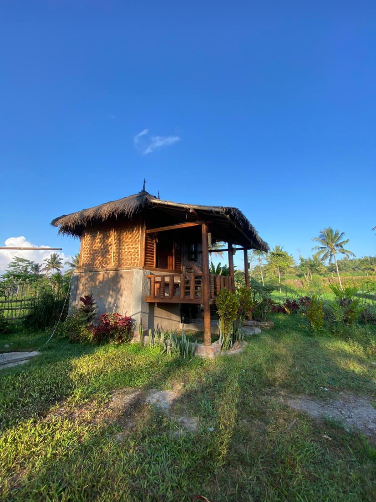 New Rinjani Homestay Tetebatu Luaran gambar