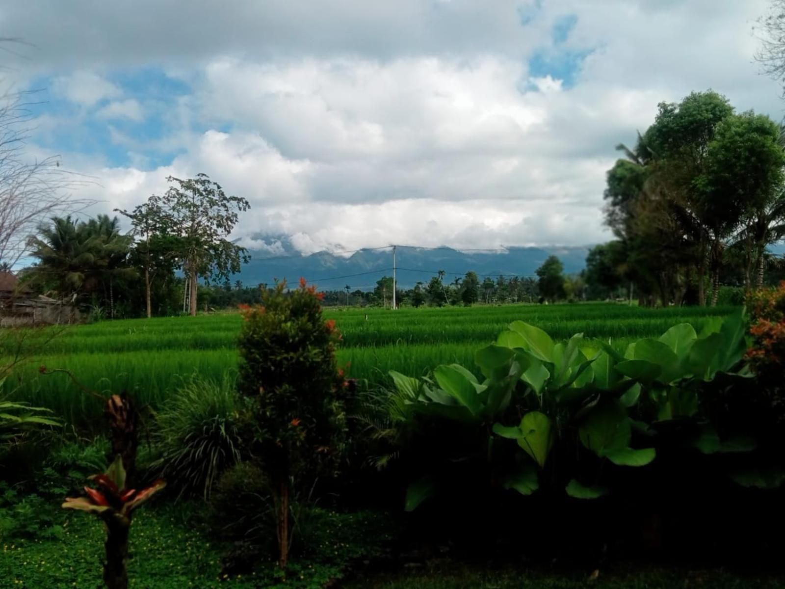 New Rinjani Homestay Tetebatu Bilik gambar