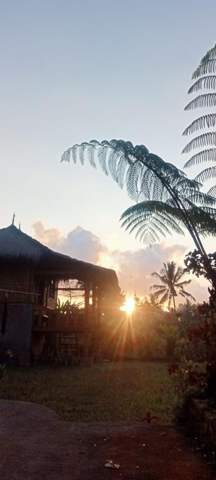 New Rinjani Homestay Tetebatu Bilik gambar