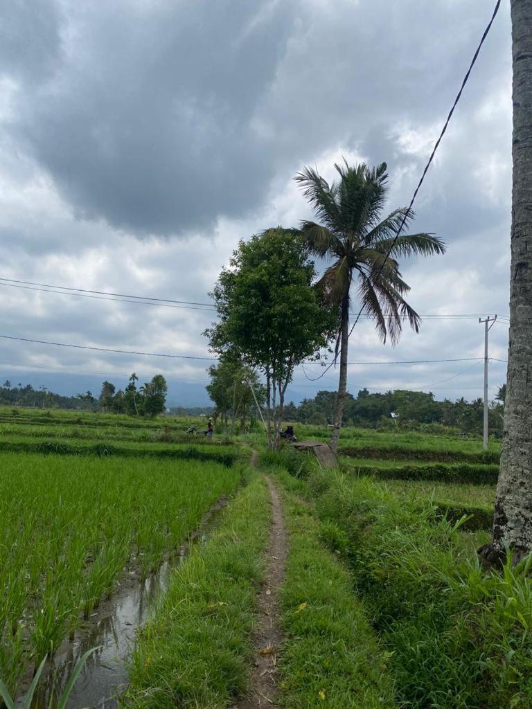New Rinjani Homestay Tetebatu Bilik gambar