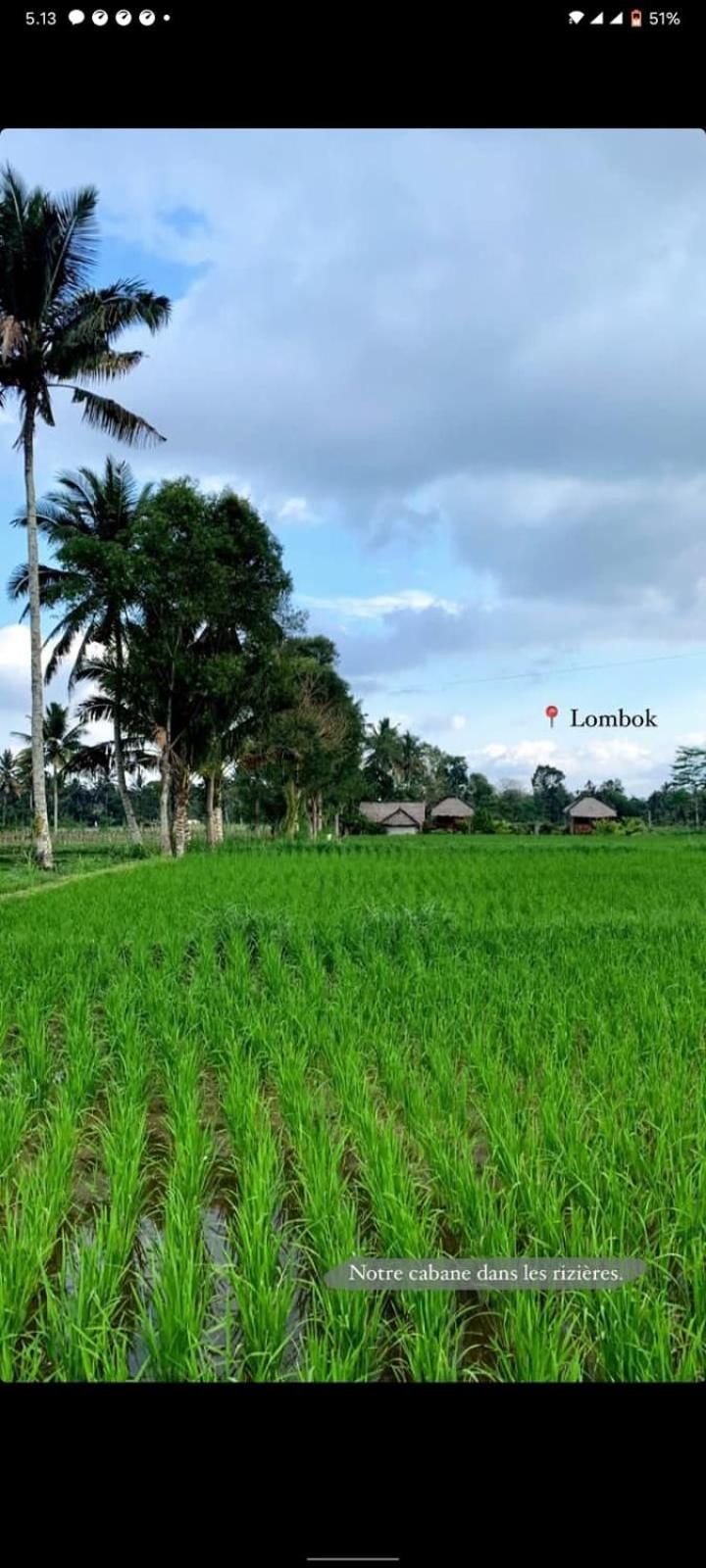 New Rinjani Homestay Tetebatu Bilik gambar