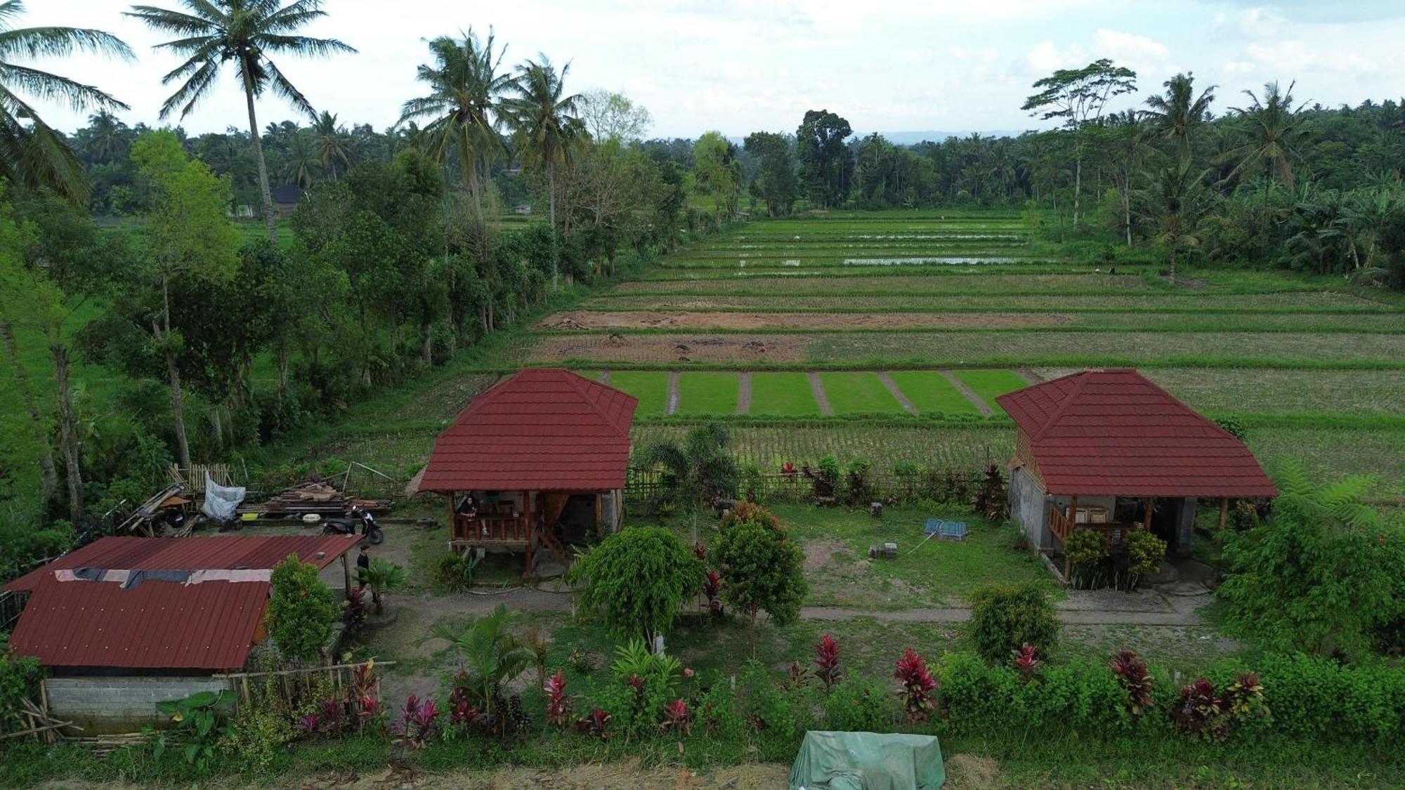 New Rinjani Homestay Tetebatu Luaran gambar